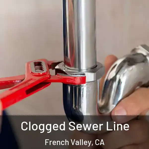  Clogged Sewer Line French Valley, CA