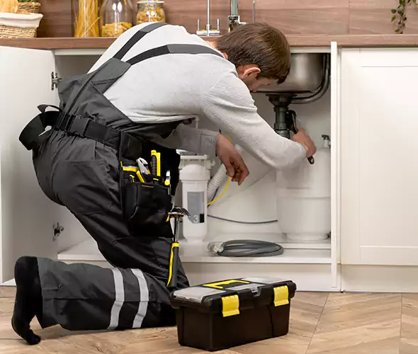 Certified Plumbers for Insinkerator Installation in French Valley