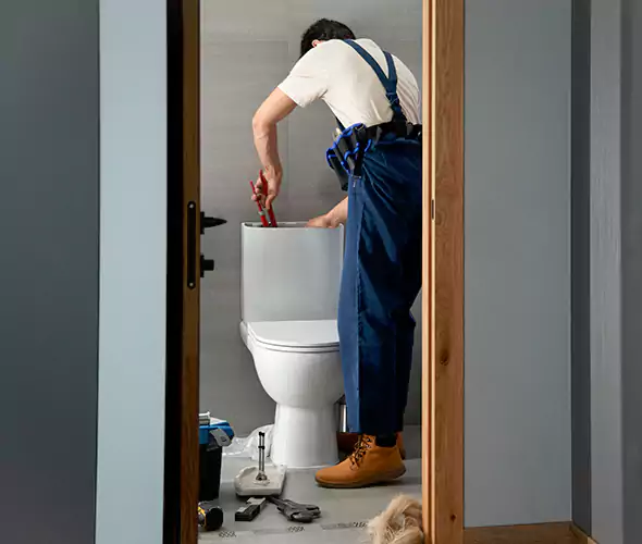 Professional Plumbers for Toilet Bowl Replacement in French Valley, CA: Schedule Affordable Toilet Replacement Services With Us