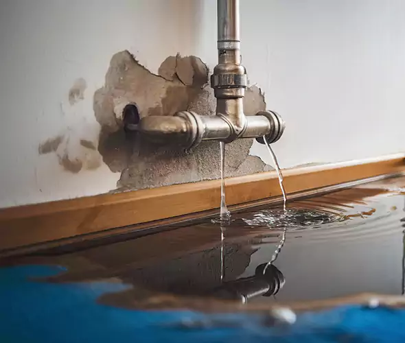 Professional Water Damage Restoration Experts in French Valley, CA — Fast, Reliable & Certified