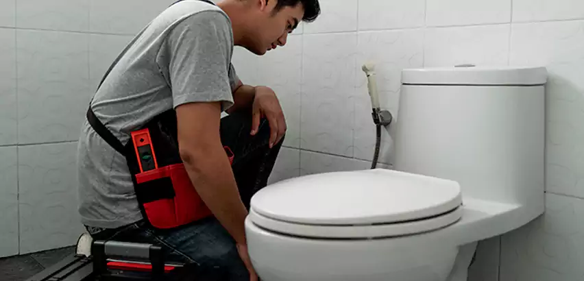 Toilet Repair in French Valley