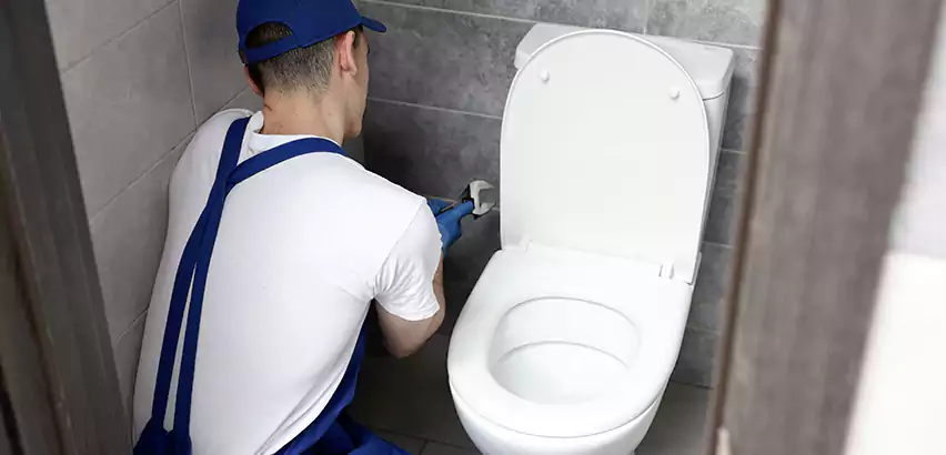 Toilet Lid Replacement in French Valley