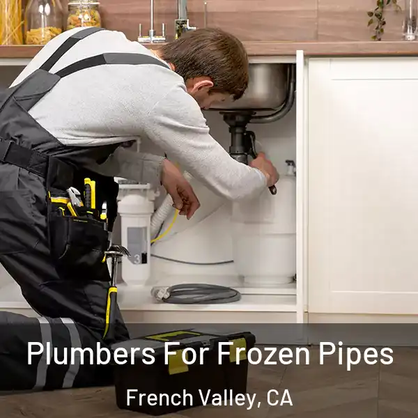  Plumbers For Frozen Pipes French Valley, CA