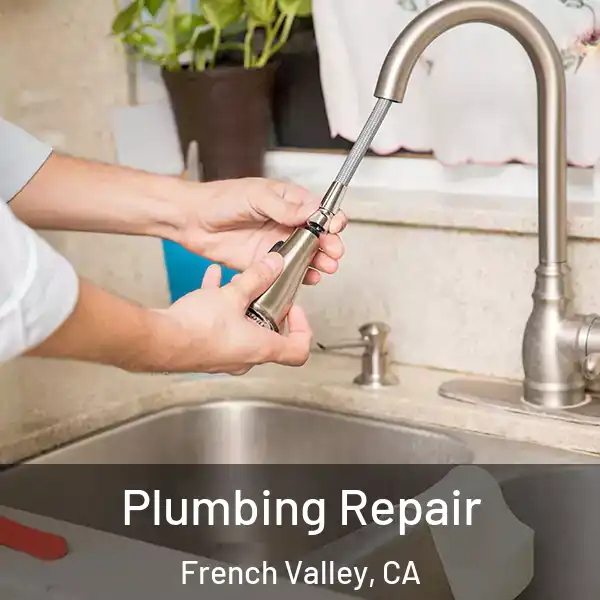  Plumbing Repair French Valley, CA