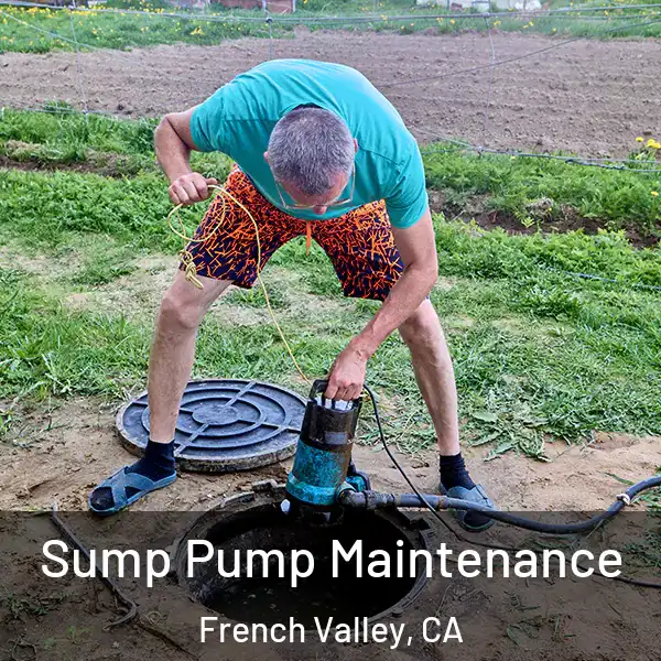  Sump Pump Maintenance French Valley, CA