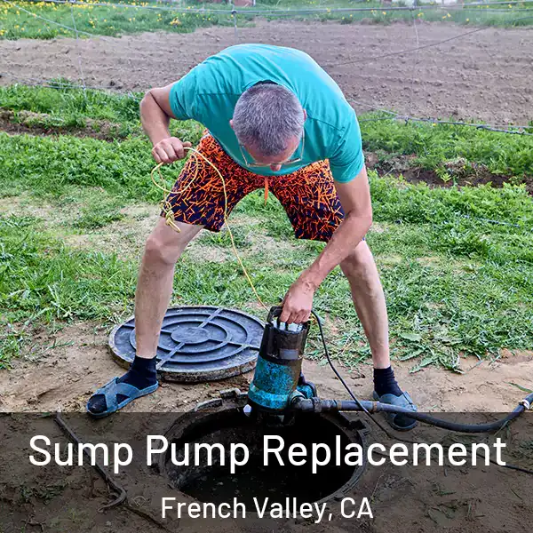  Sump Pump Replacement French Valley, CA