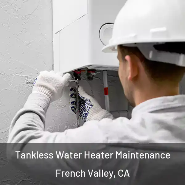  Tankless Water Heater Maintenance French Valley, CA