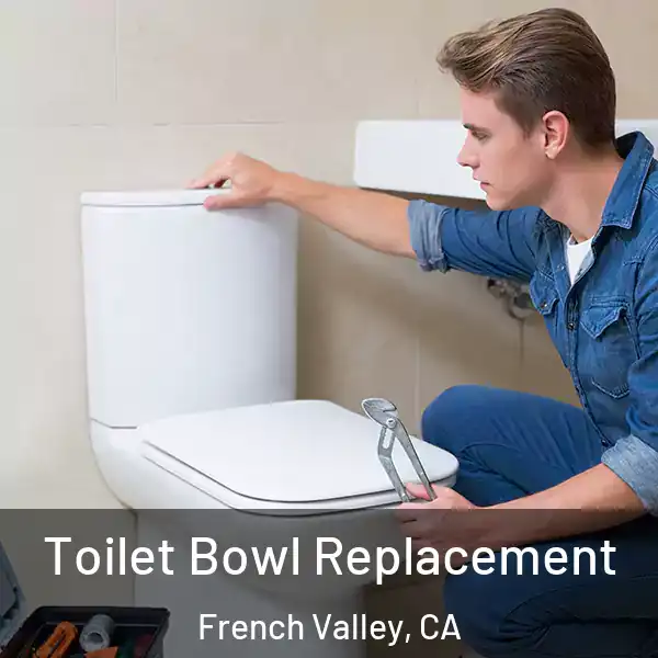  Toilet Bowl Replacement French Valley, CA