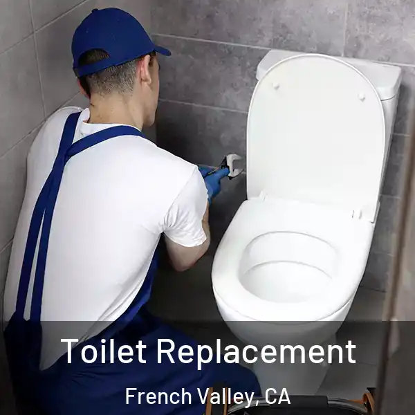  Toilet Replacement French Valley, CA