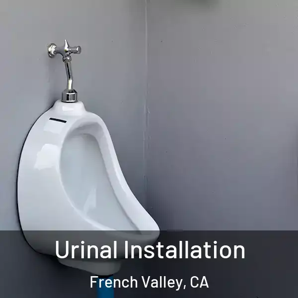  Urinal Installation French Valley, CA