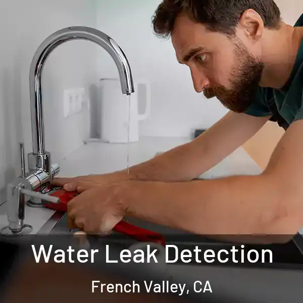  Water Leak Detection French Valley, CA